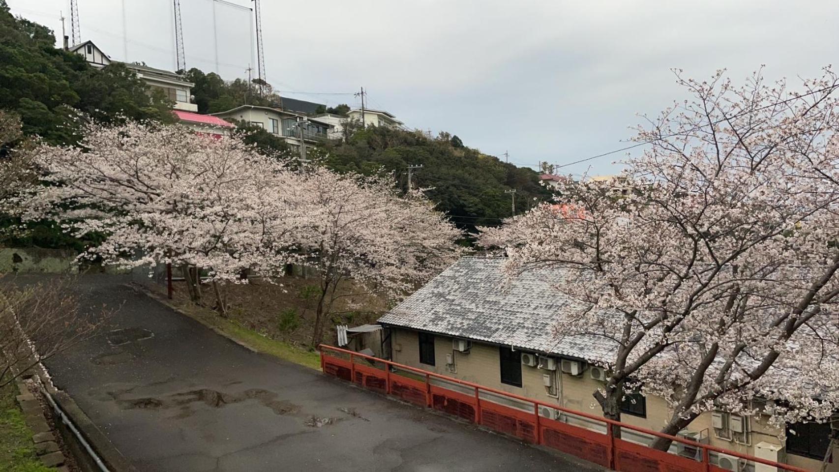 しらはまの宿　明時別荘 白浜町 エクステリア 写真