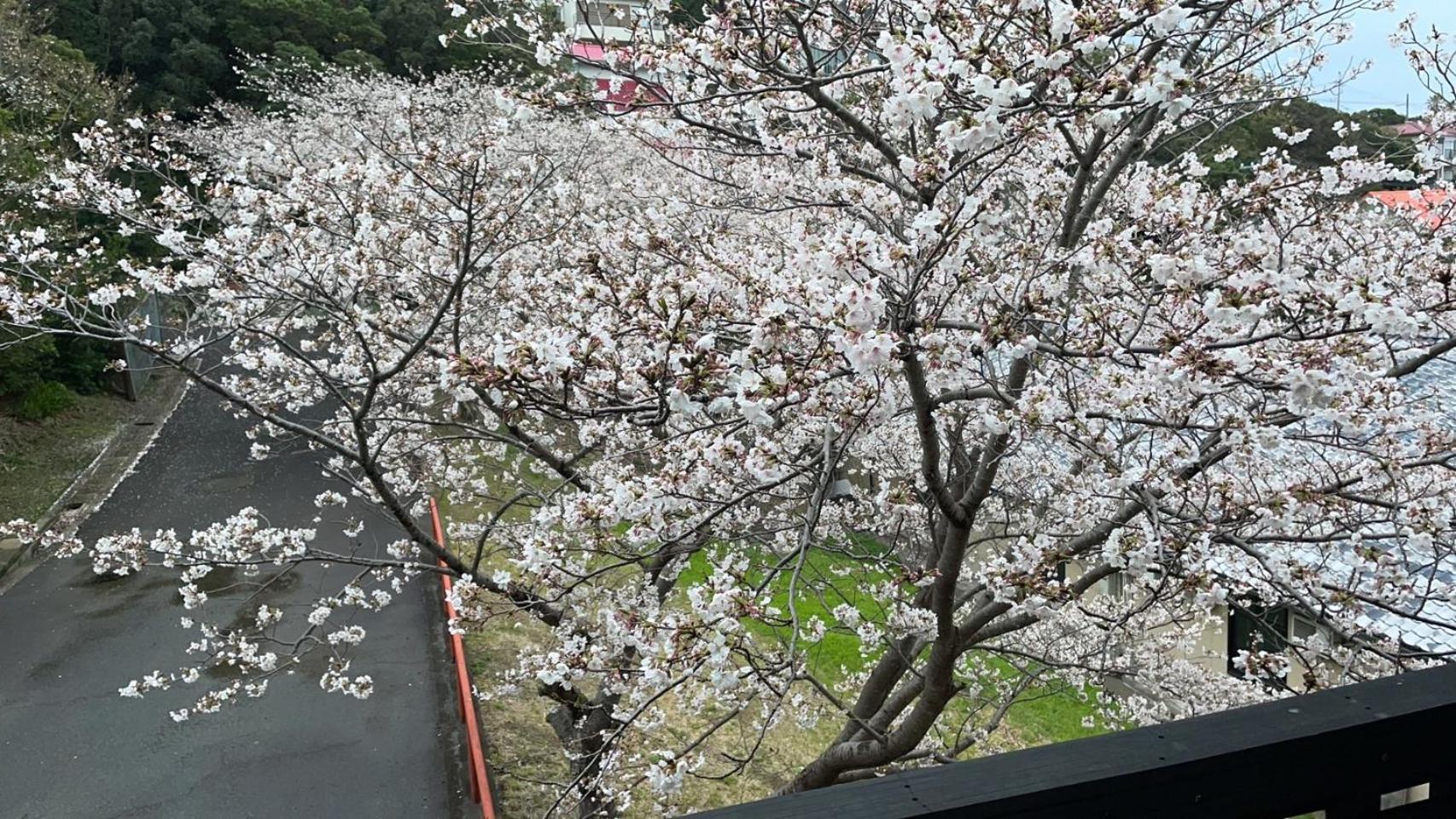 しらはまの宿　明時別荘 白浜町 エクステリア 写真